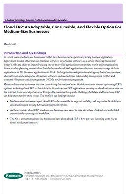 Cloud ERP: An Adaptable, Consumable, And Flexible Option For Medium-Size Businesses Cloud ERP: An Adaptable, Consumable, And Flexible Option For Medium-Size Businesses
