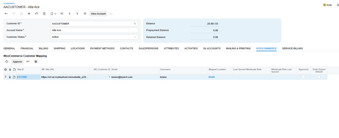 Customer WooCommerce User Reference