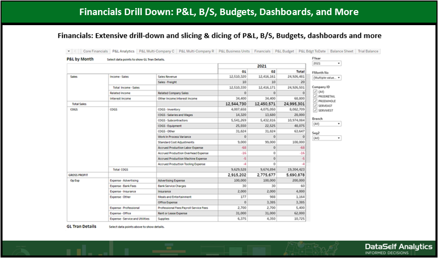 Financials Drilldown: P&L, B/S, Budgets, Dashboards & More