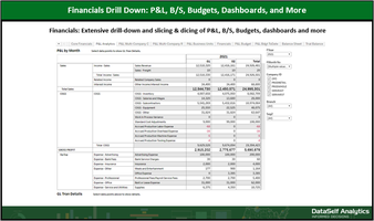 Financials Drilldown: P&L, B/S, Budgets, Dashboards & More