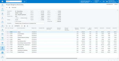 Program Budget by Period