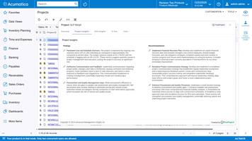 AI generated findings and recommendations for a project.