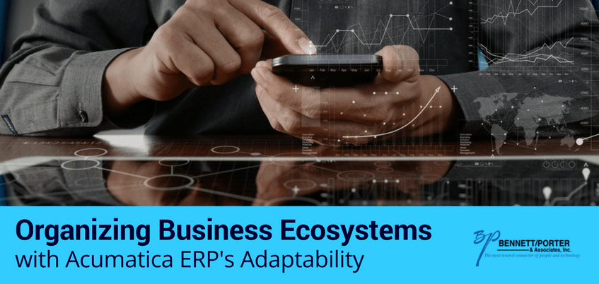 Organizing Business Ecosystems with Acumatica ERP’s Adaptability