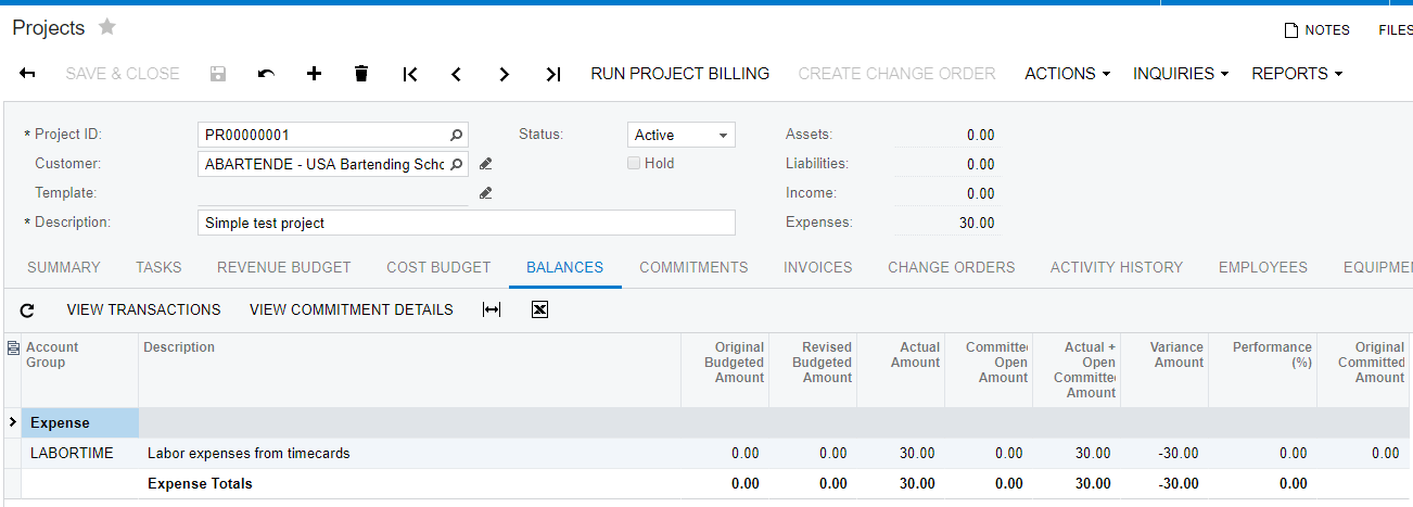 View the project balances tab