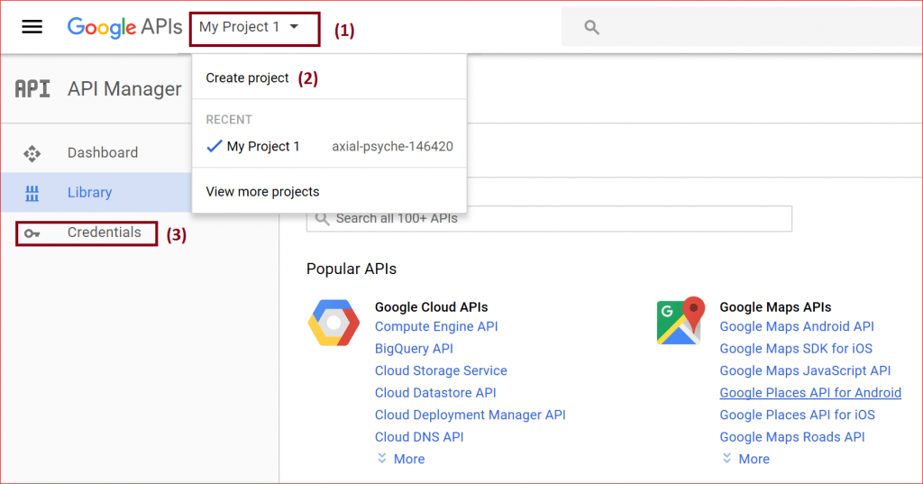 Google APIs - My Project