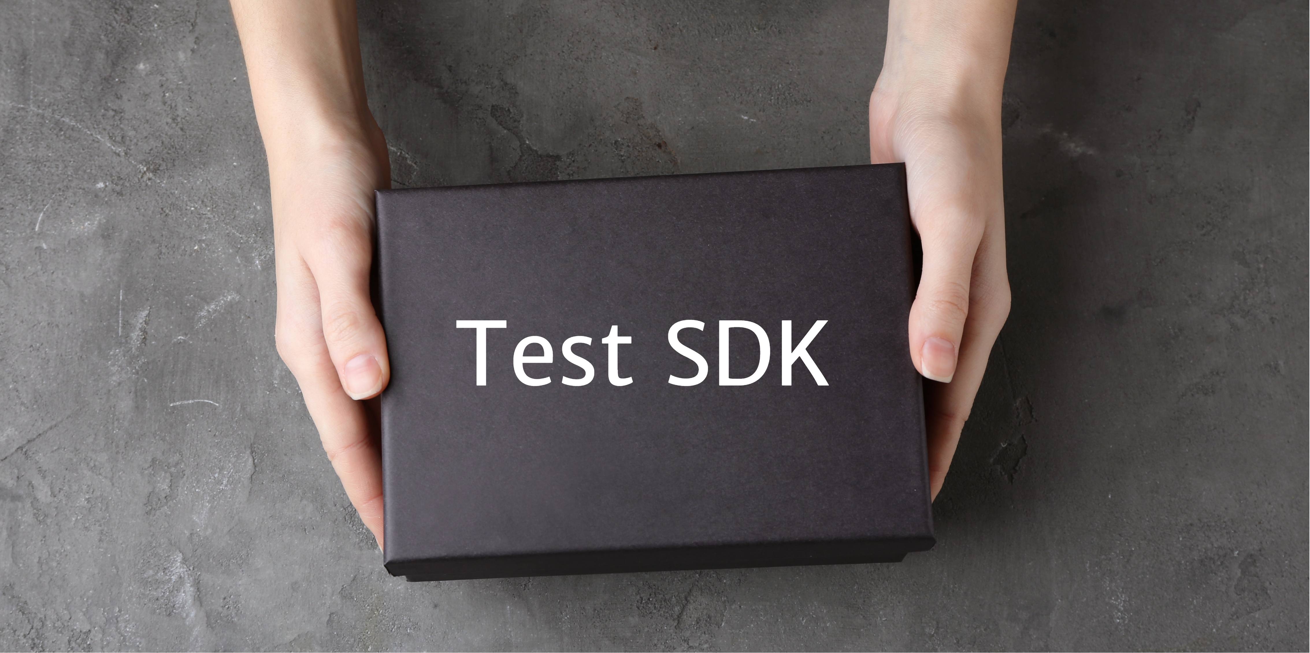 Acumatica Test SDK: Getting More Inputs