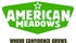 American Meadows