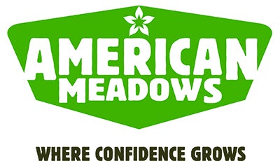 Bob Davis Sales