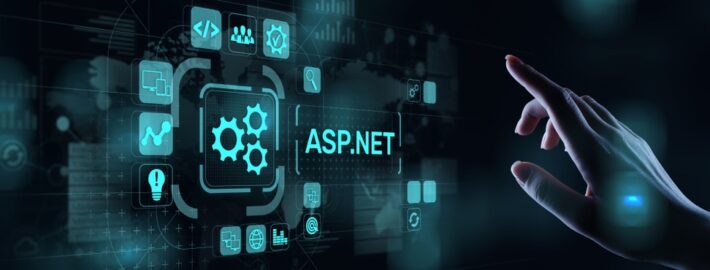 How to Use ASP.NET Web API & MVC with Acumatica