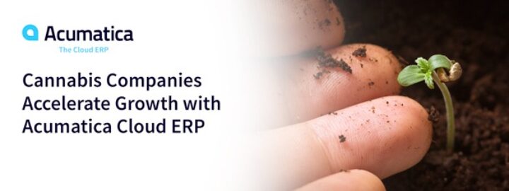 Cannabis Companies Accelerate Growth with Acumatica Cloud ERP