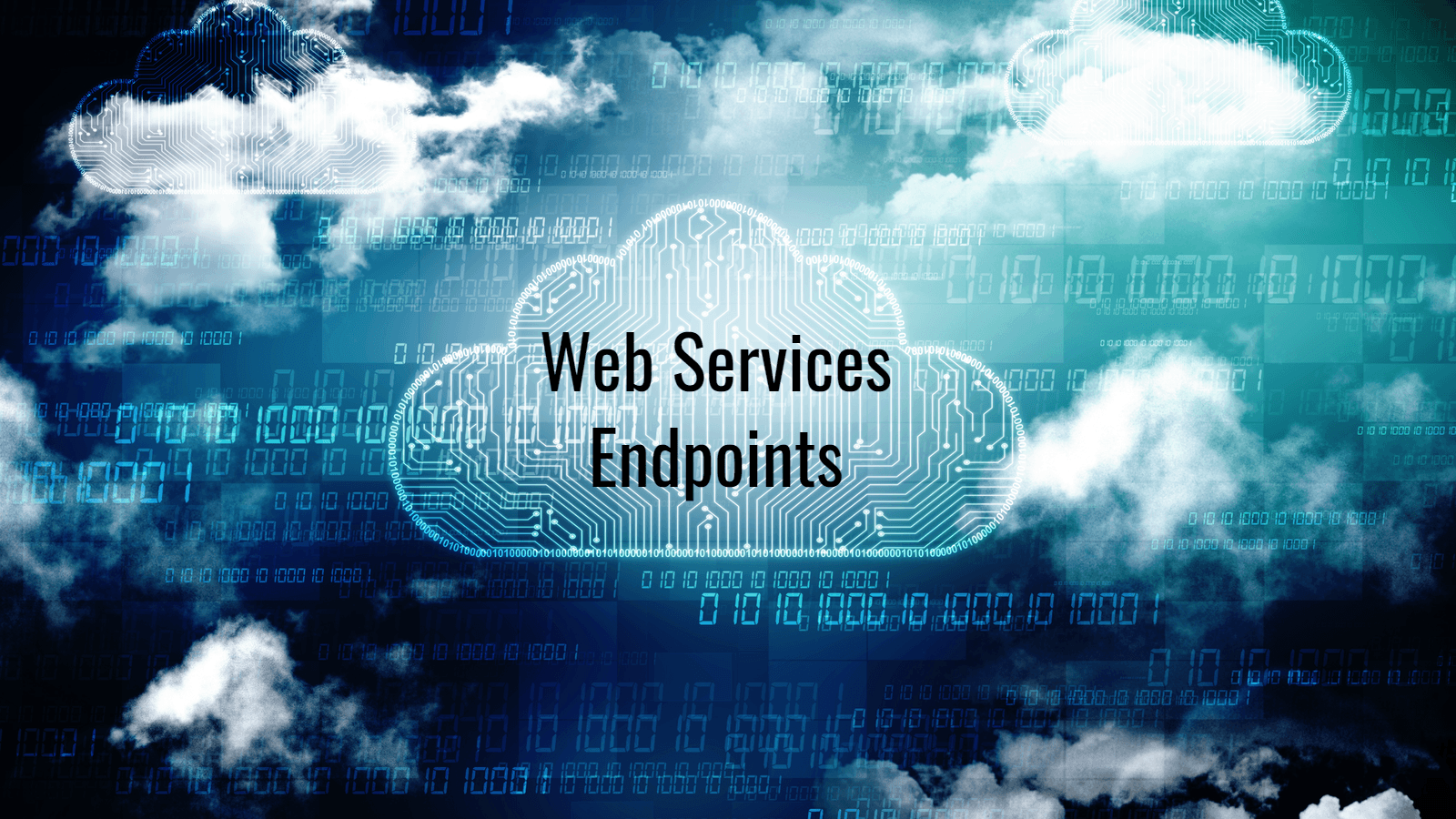 Extending Acumatica Web Service Endpoints