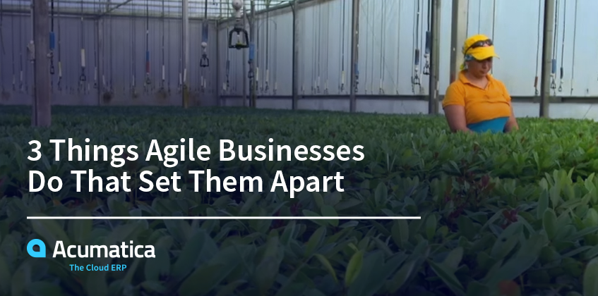 3 Things Agile Businesses Do That Set Them Apart