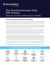 Drive Growth with an ERP for Business Solution