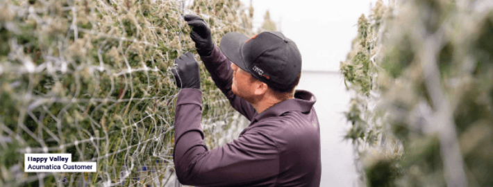Seizing Growth Opportunities: How Comprehensive ERP Solutions Can Help Emerging Cannabis Businesses