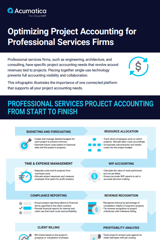 Professional Services Infographic