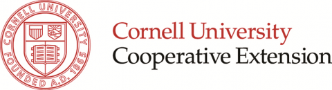 Cornell