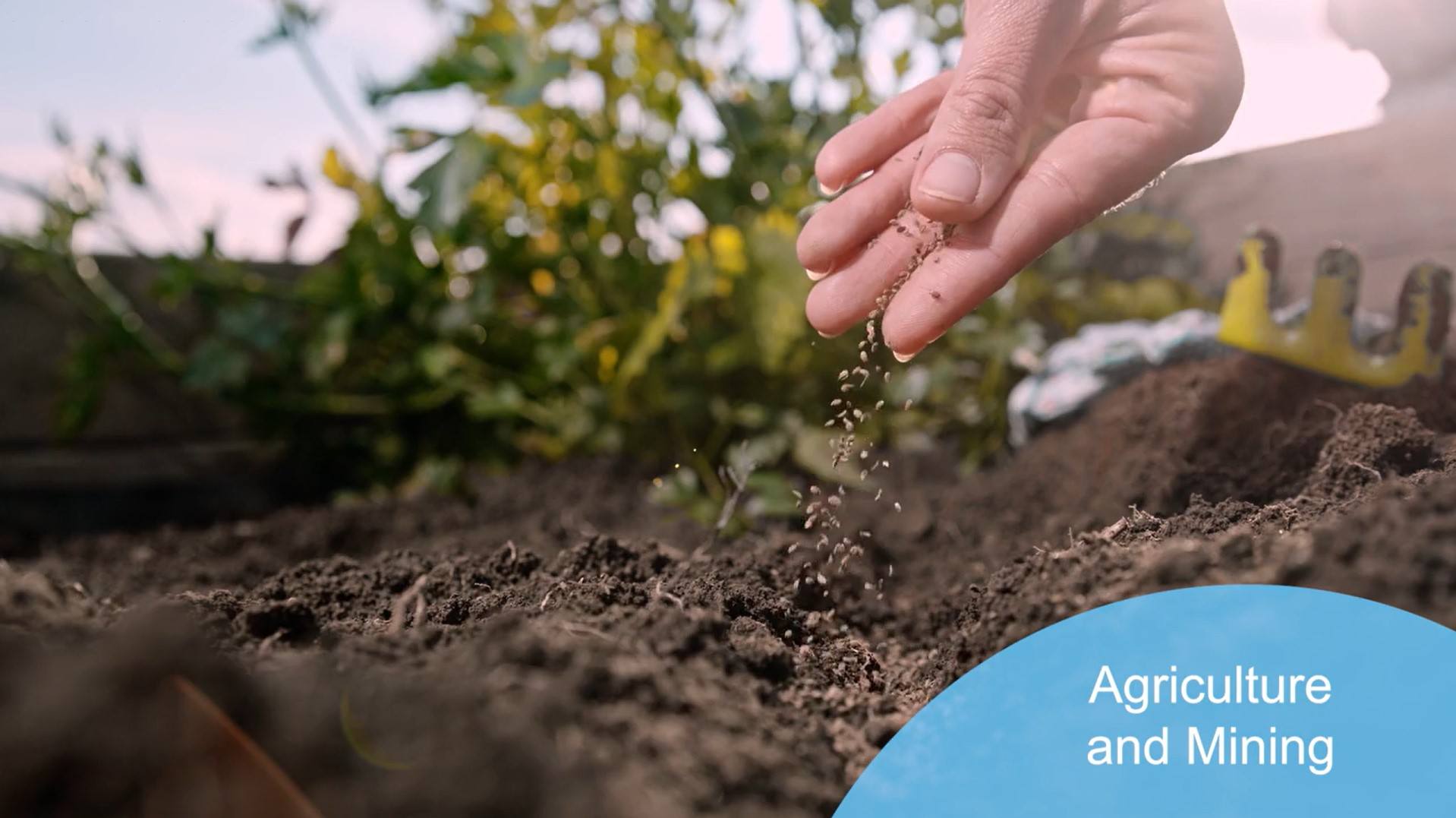 2024 Distribution Overview for Agriculture Industry