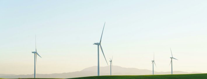 A Year-Round Commitment to Sustainability