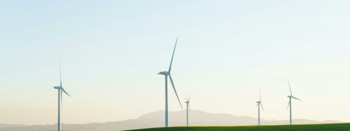 A Year-Round Commitment to Sustainability