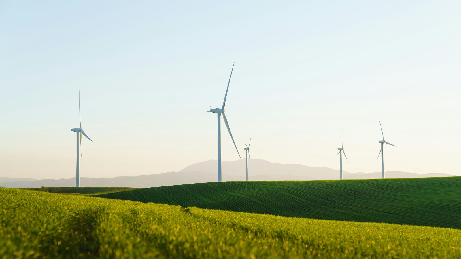 A Year-Round Commitment to Sustainability