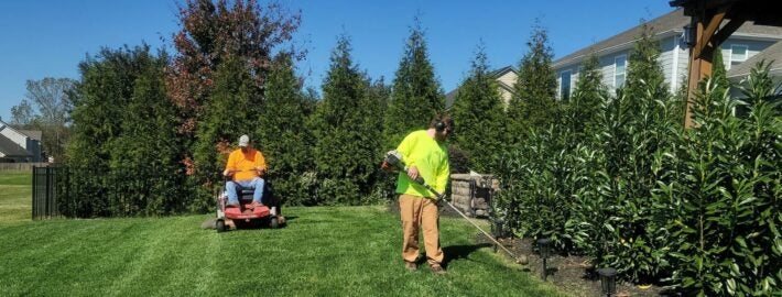 Landscape Management Software: Features and Buying Guide