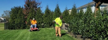 Landscape Management Software: Features and Buying Guide