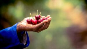 Karsten Group successfully implemented Acumatica Cloud ERP system